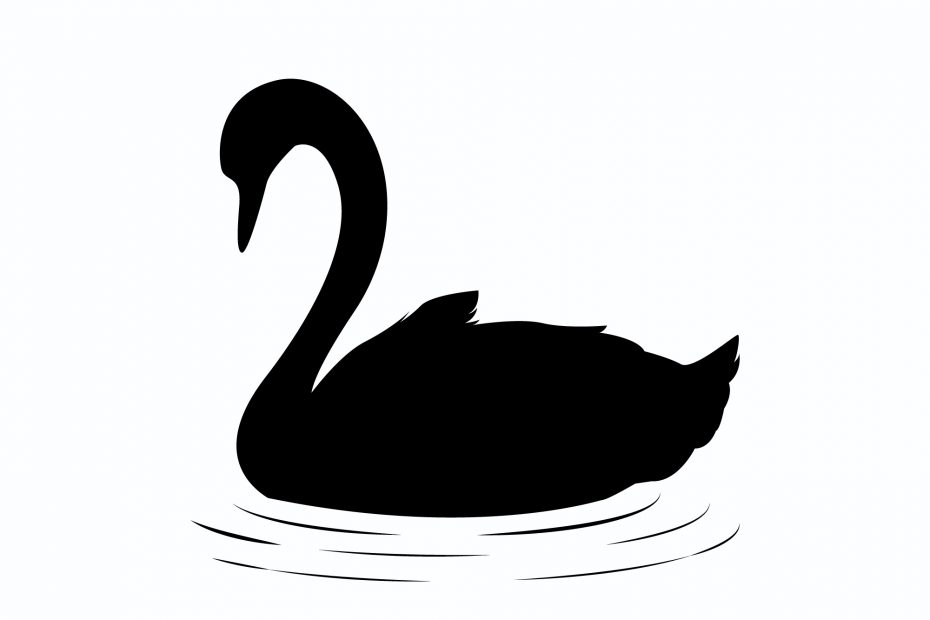 Cisne Negro – Wikipédia, a enciclopédia livre